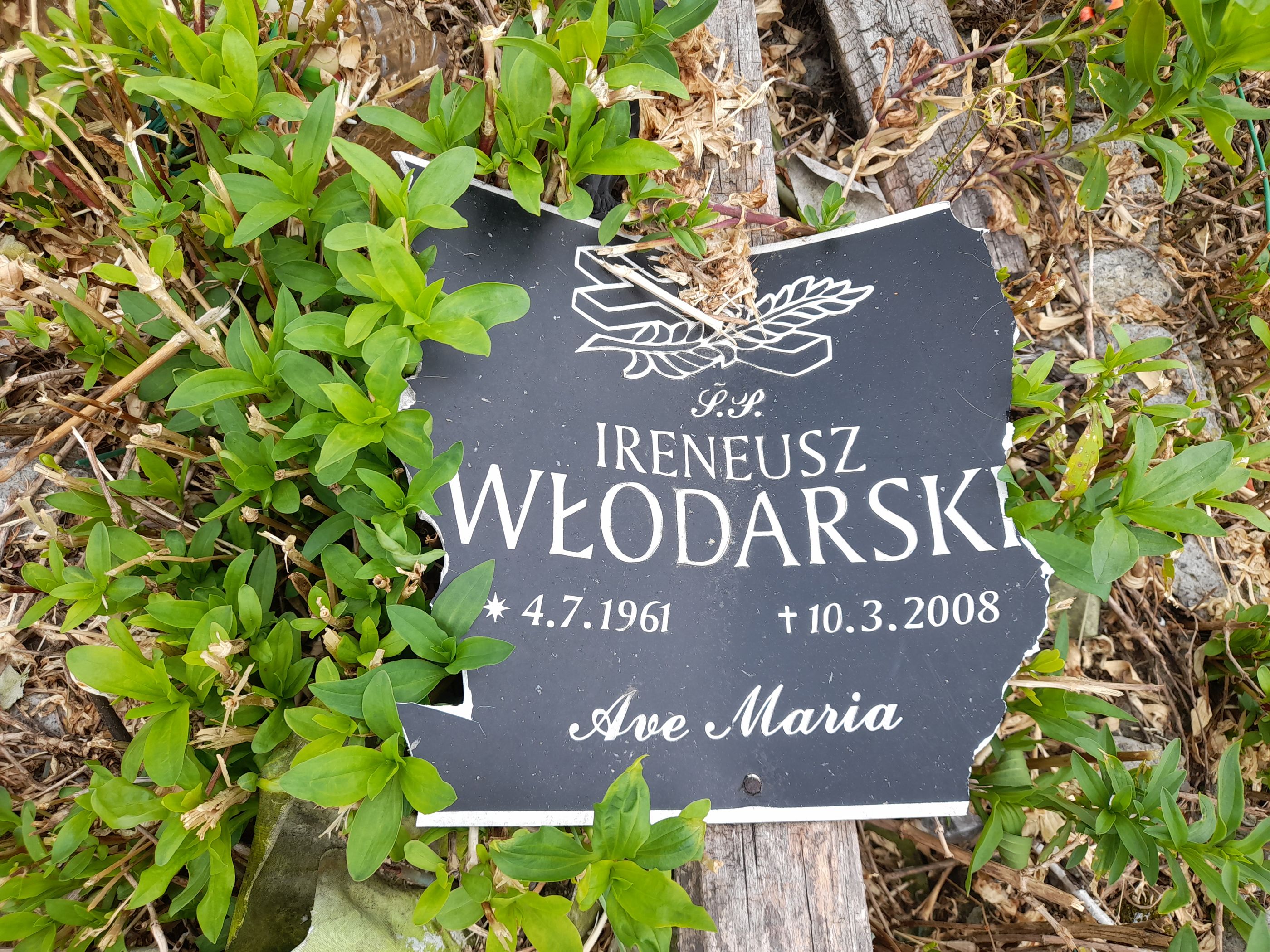 Grób Ireneusz Włodarski