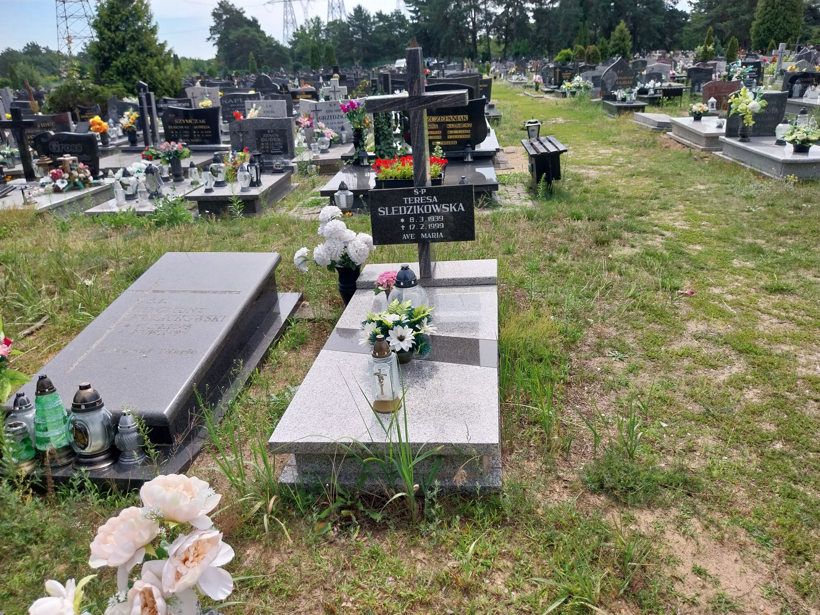 Grób Teresa Śledzikowska