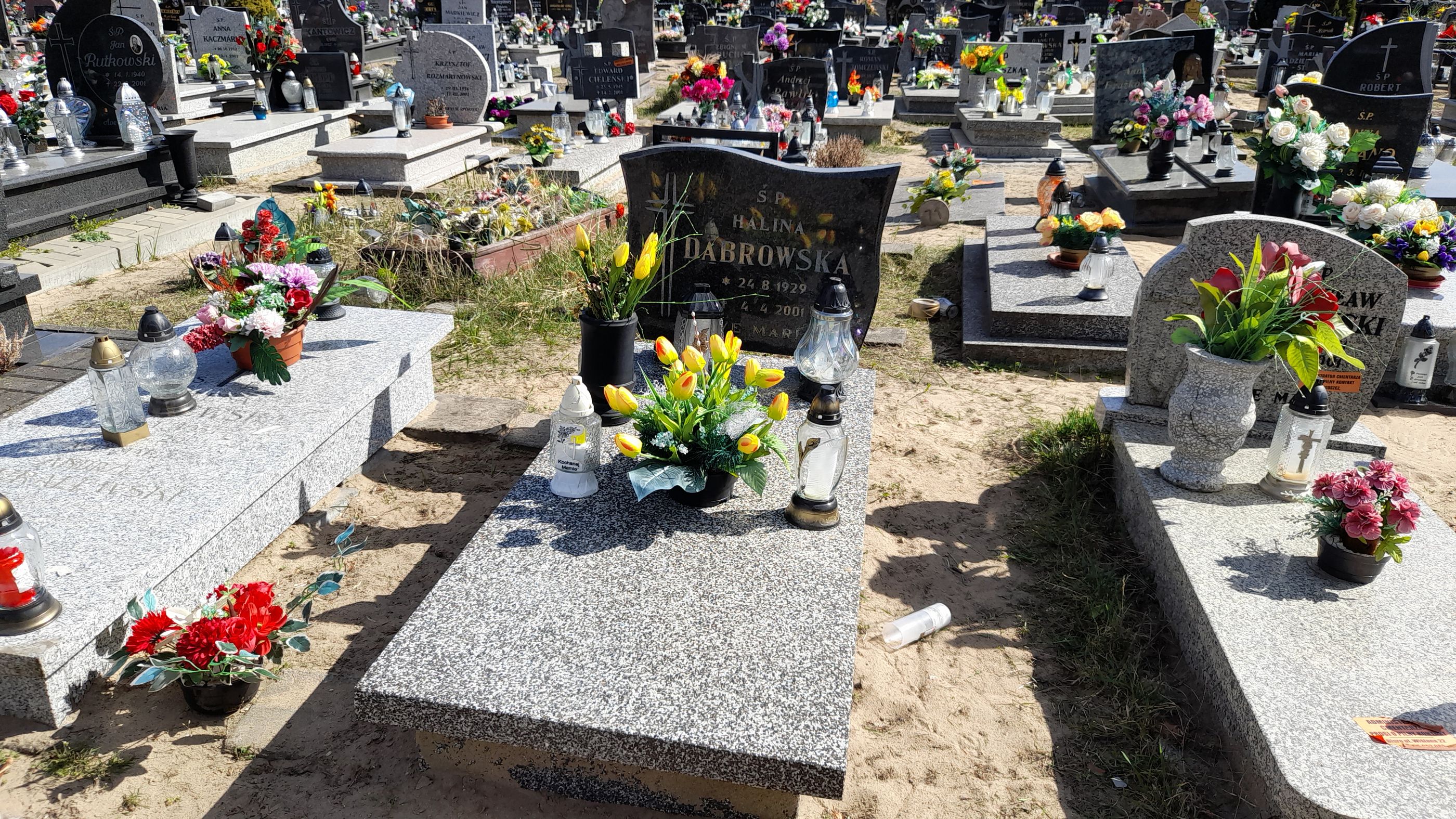 Grób Halina Dąbrowska
