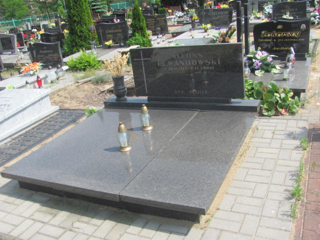 Grób Alfons Lewandowski