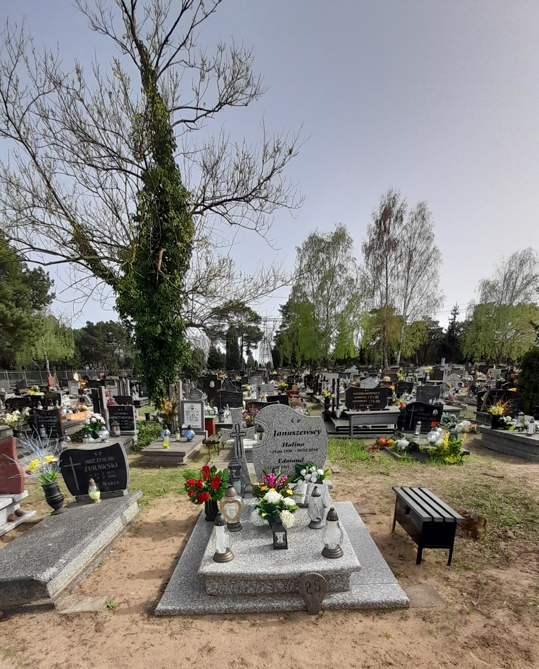 Grób Edmund Januszewski