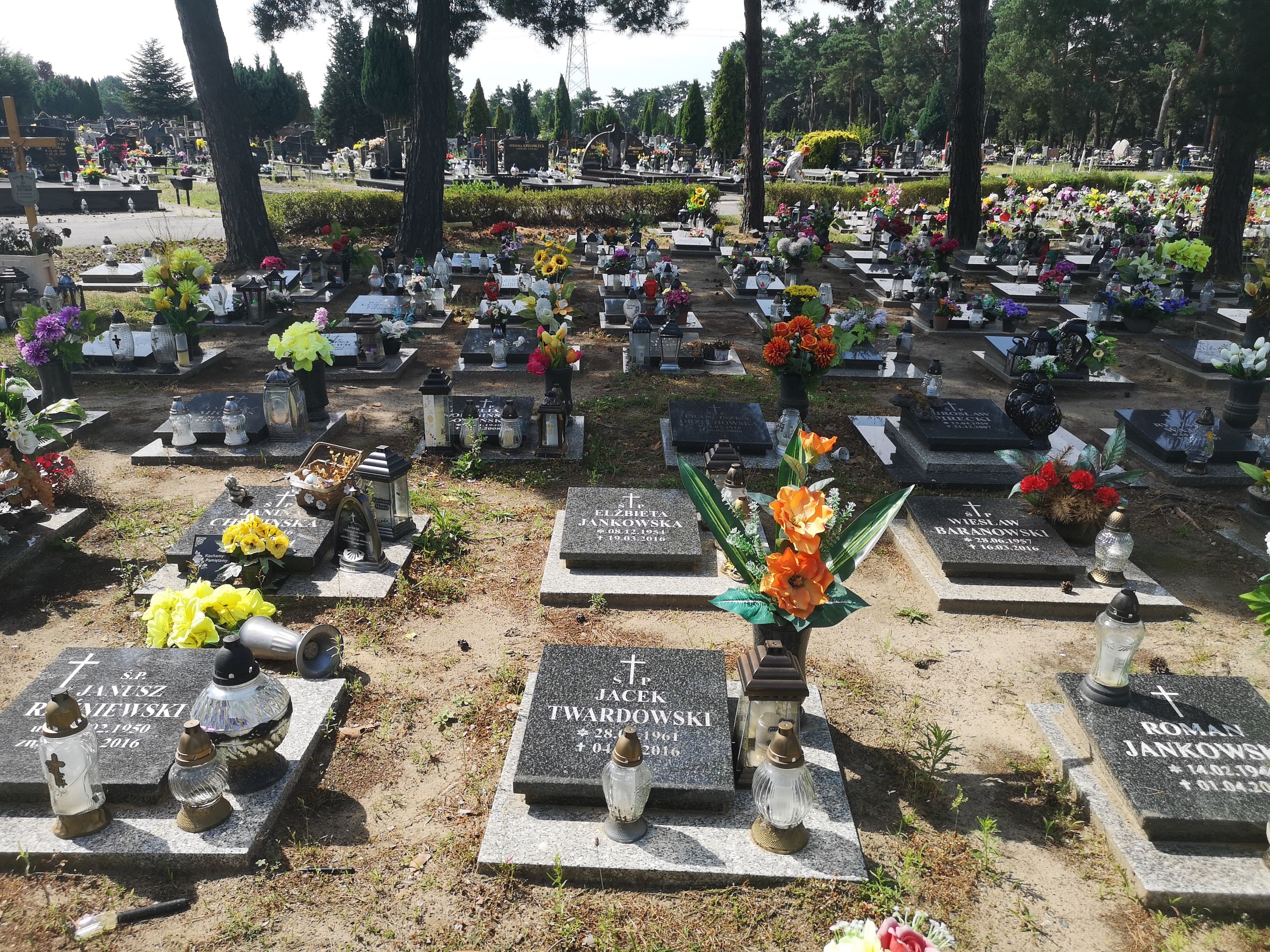 Grób Jacek Twardowski