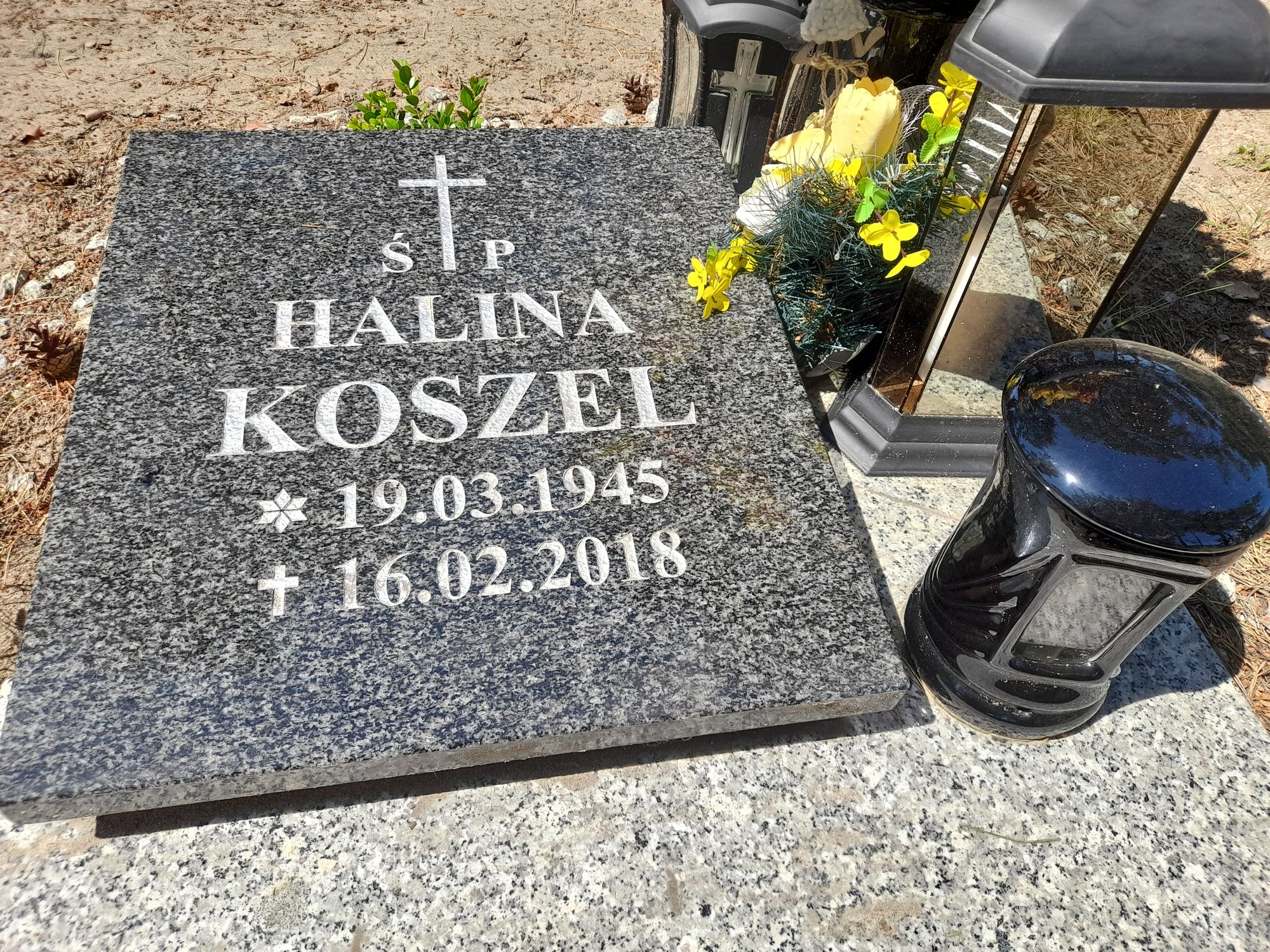 Grób Władysław Koszel