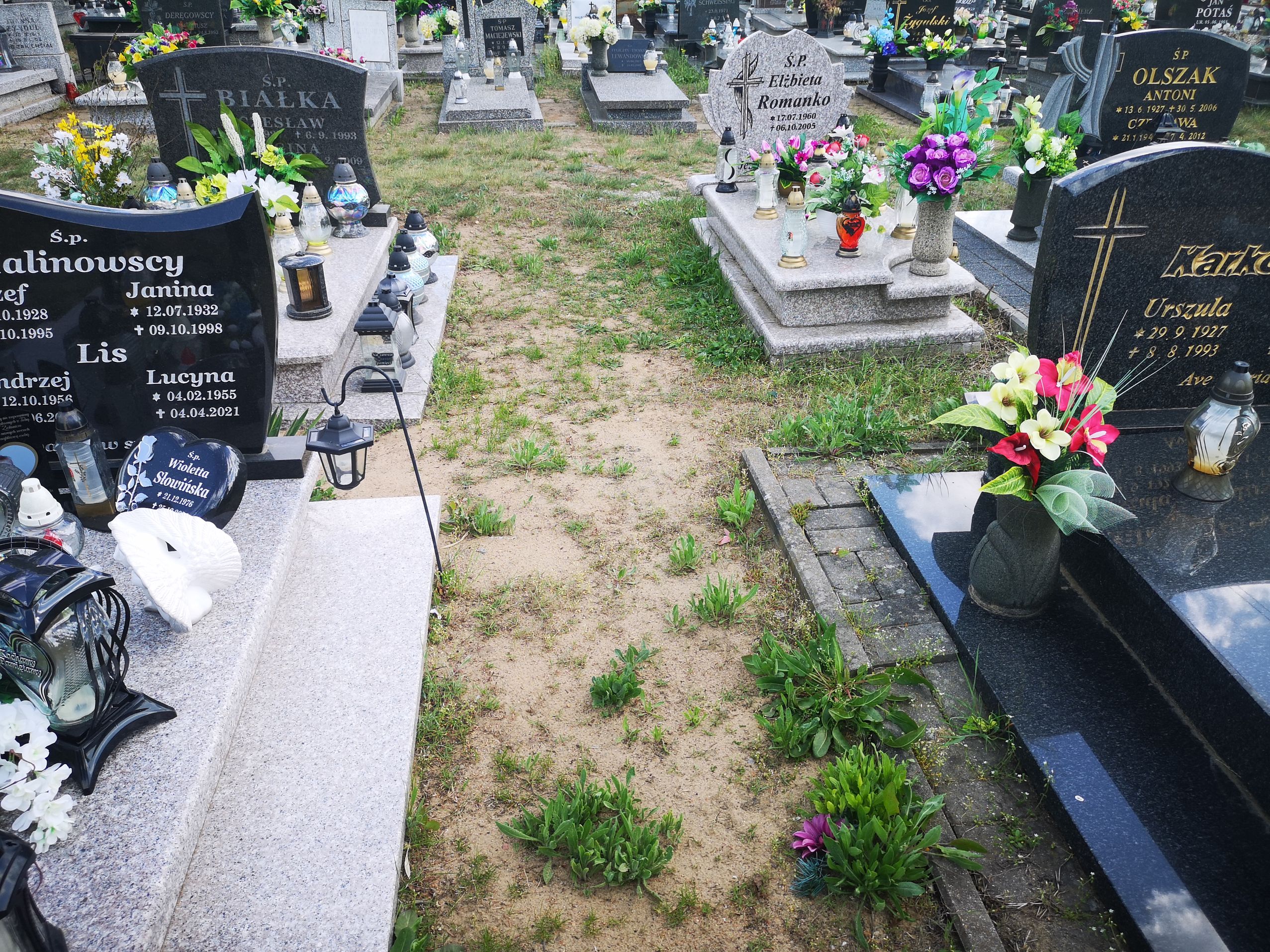 Grób Lucyna Lis
