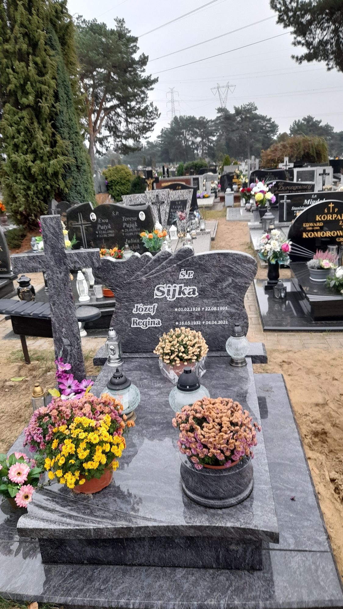 Grób Regina Sijka