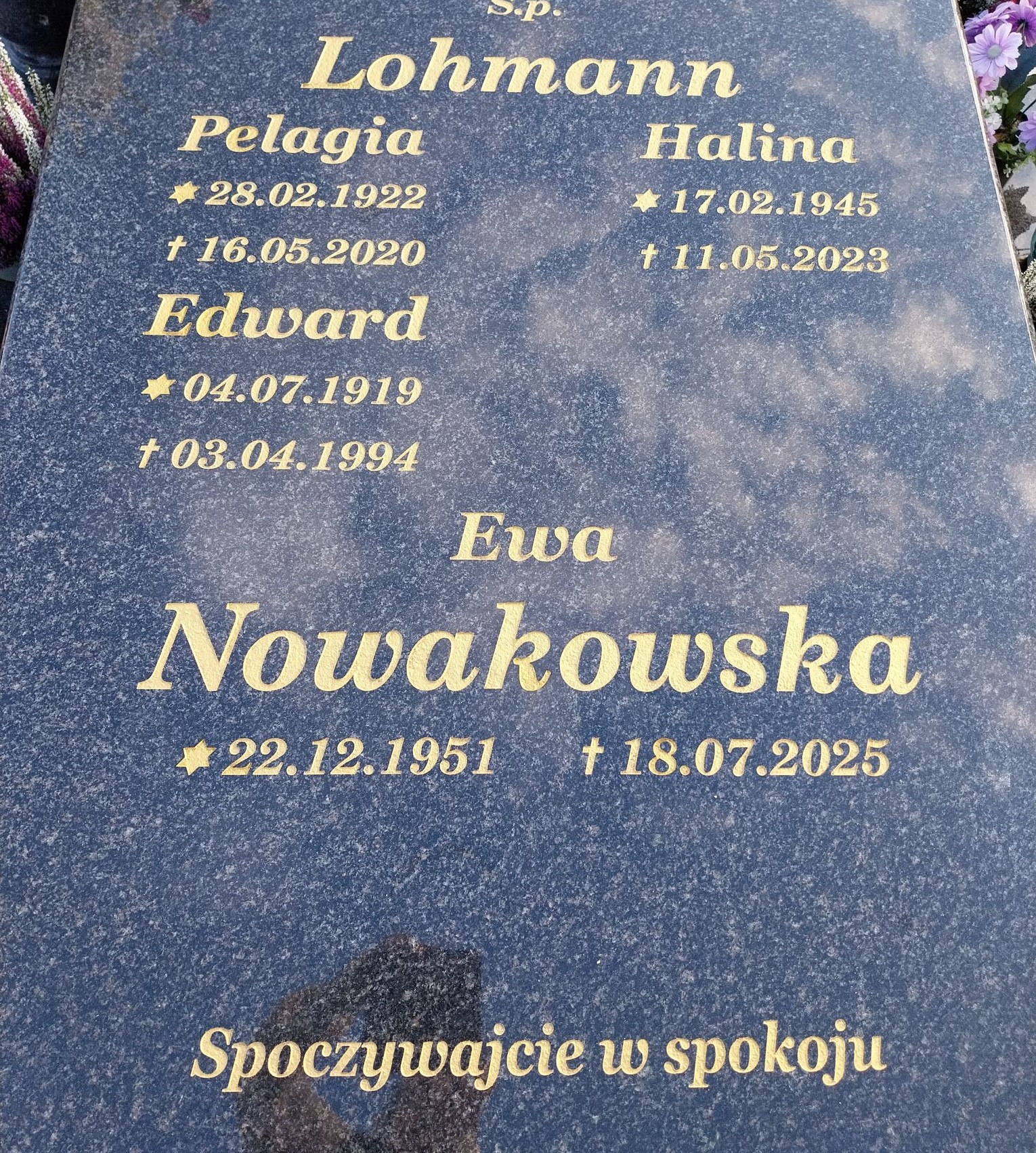 Grób Halina Lohmann