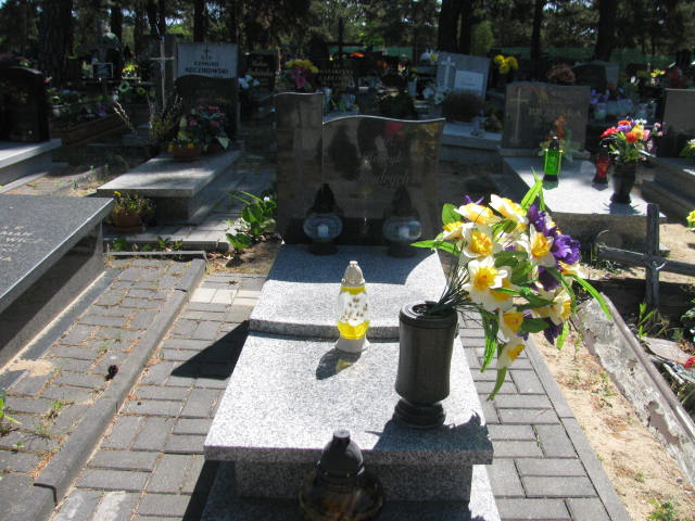 Grób Henryk Frydrych