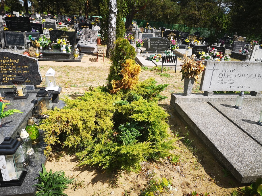 Grób Wanda Grochowska