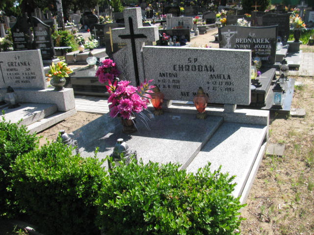 Grób Antoni Chrobak