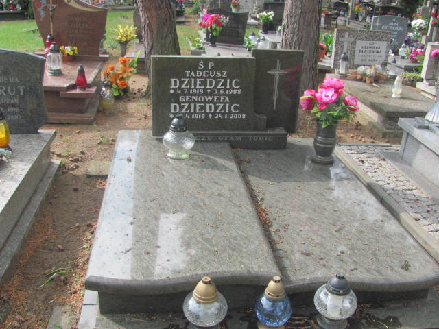 Grób Tadeusz Dziedzic