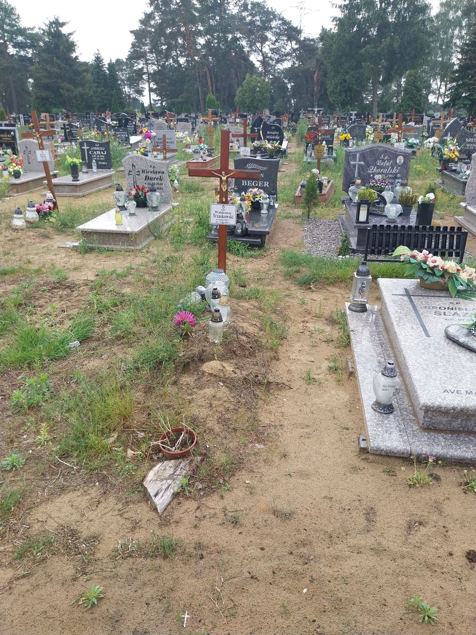 Grób Waldemar Trzaskowski