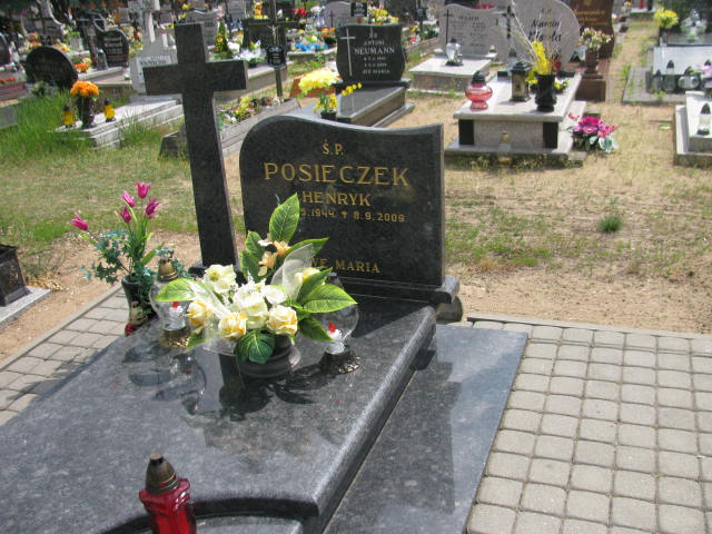 Grób Henryk Posieczek