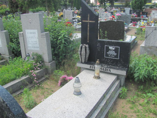 Grób Leonard Korwin Piotrowski