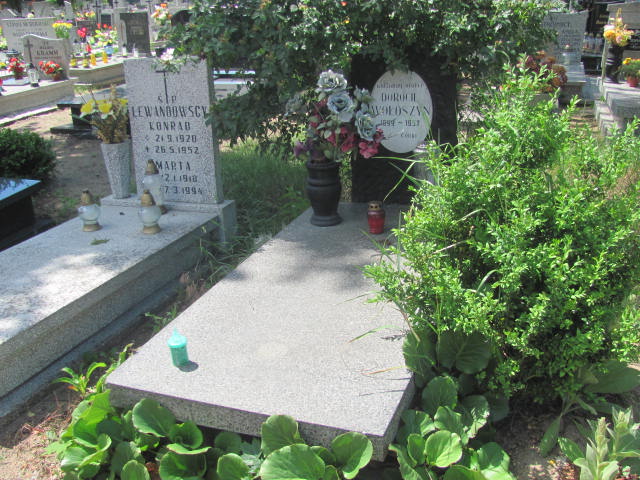 Grób Dorota Wołoszyn