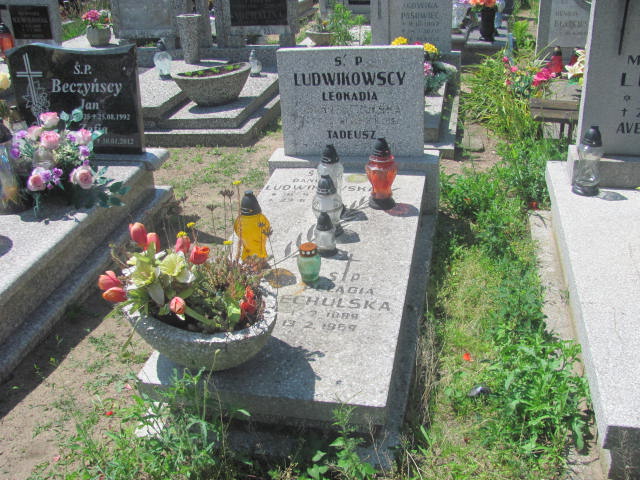 Grób Danuta Ludwikowska