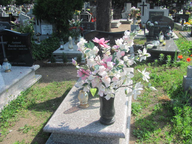 Grób Wanda Sanigórska