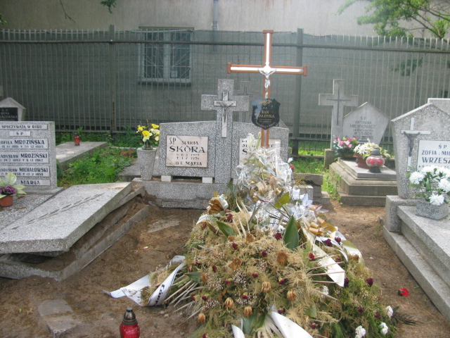Grób Franciszek Plich 