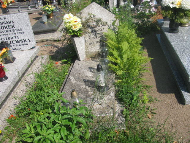 Grób Antonina Lewandowska