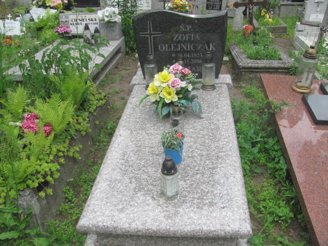Grób Franciszek Trojanowski