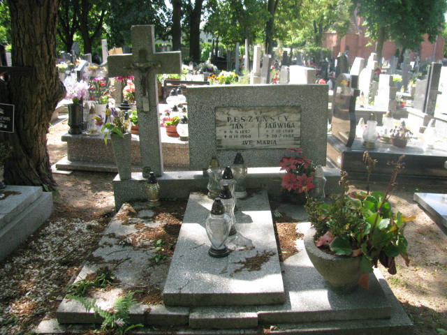 Grób Jan Peszyński