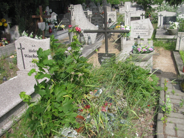 Grób Weronika Bielaczyc